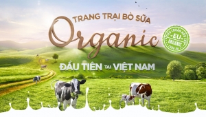 Lịch sử phát triển ngành sữa Việt Nam